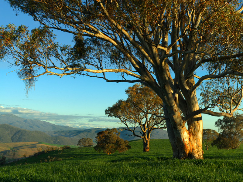 Stacks Image 99